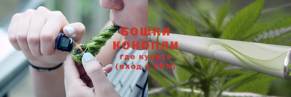 трава Балахна