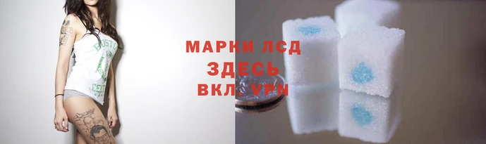 дмт Баксан