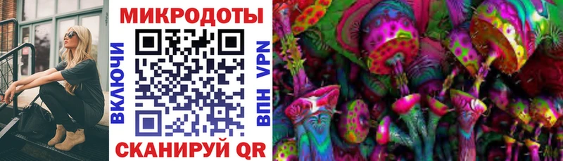 Купить закладки  Вихоревка  Псилоцибиновые грибы Cubensis 